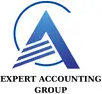 Expert Accounting Group
